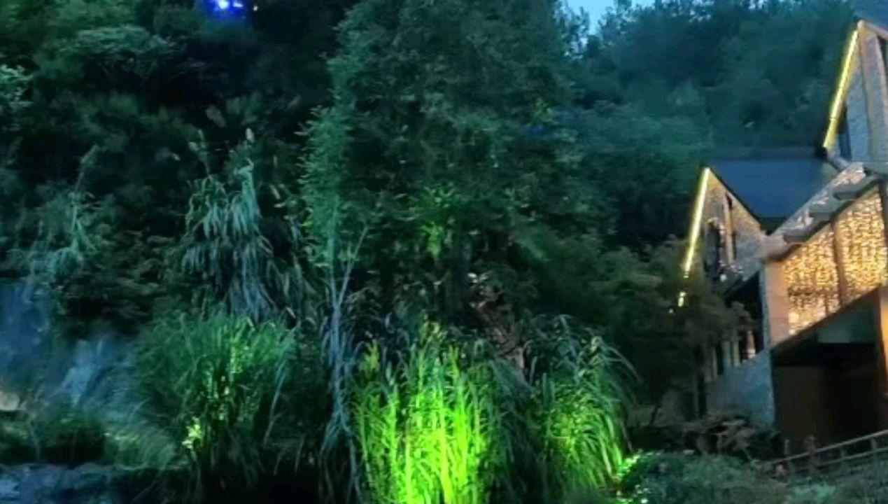 破碎的沉默